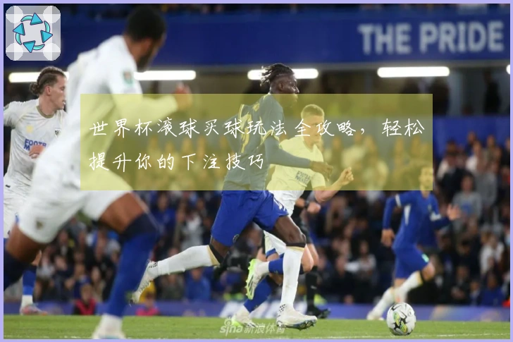 世界杯滚球买球玩法全攻略，轻松提升你的下注技巧