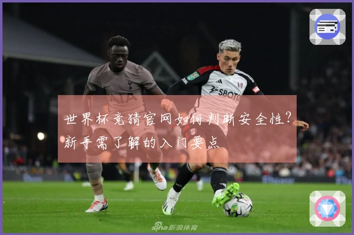 世界杯竞猜官网如何判断安全性？新手需了解的入门要点