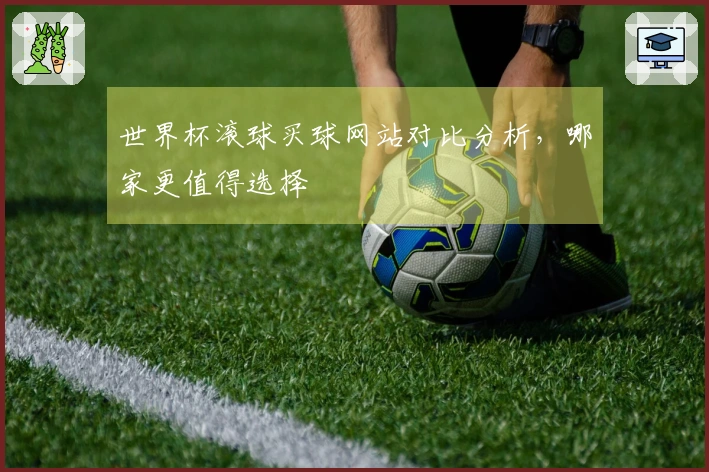 世界杯滚球买球网站对比分析，哪家更值得选择