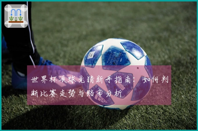 世界杯滚球竞猜新手指南：如何判断比赛走势与赔率分析