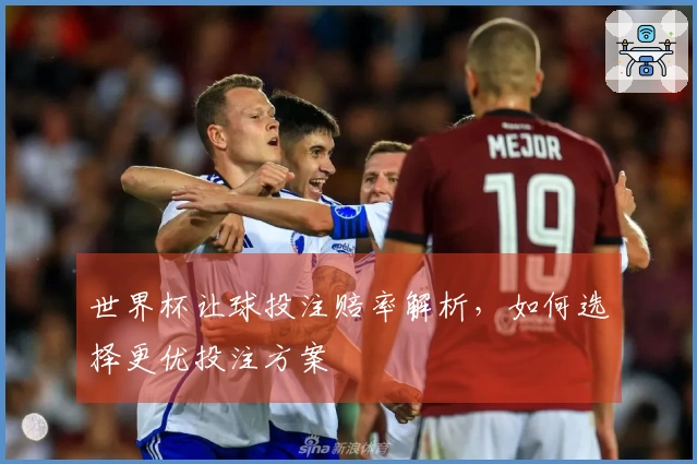 世界杯让球投注赔率解析，如何选择更优投注方案