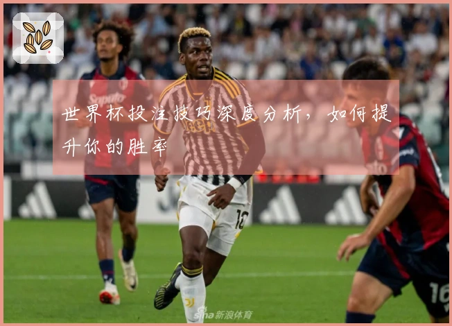 世界杯投注技巧深度分析，如何提升你的胜率