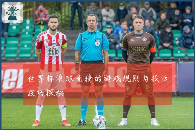 世界杯滚球竞猜的游戏规则与投注技巧探秘