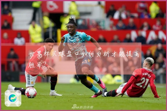 世界杯买球盘口如何分析才能提高胜率?