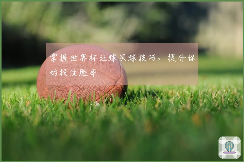 掌握世界杯让球买球技巧,提升你的投注胜率