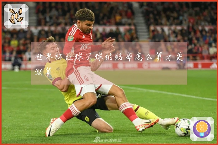 世界杯让球买球的赔率怎么算才更划算