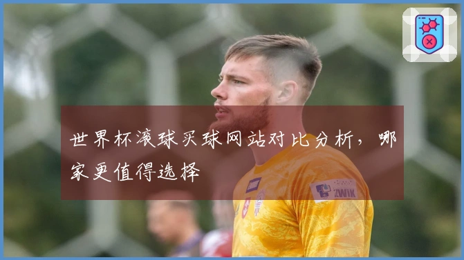 世界杯滚球买球网站对比分析，哪家更值得选择