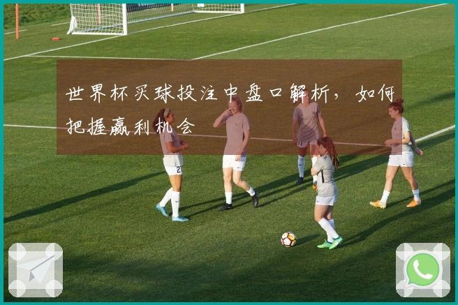 世界杯买球投注中盘口解析，如何把握赢利机会