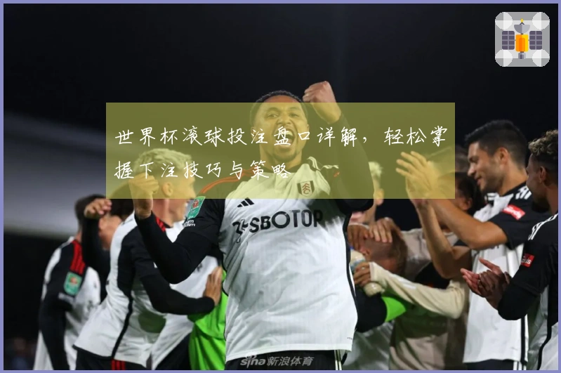 世界杯滚球投注盘口详解，轻松掌握下注技巧与策略