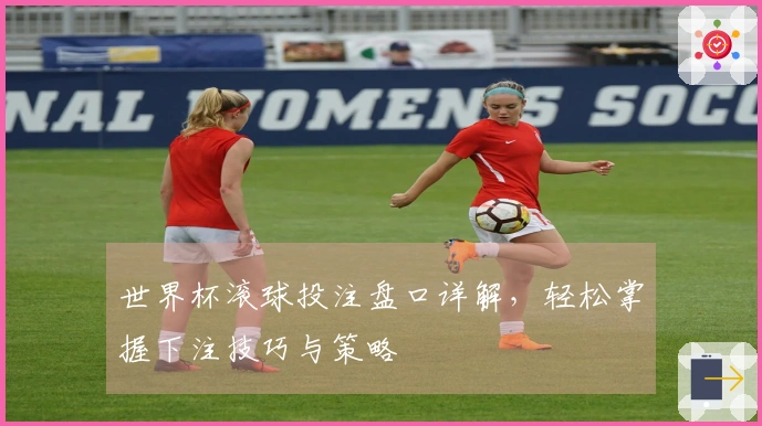 世界杯滚球投注盘口详解，轻松掌握下注技巧与策略