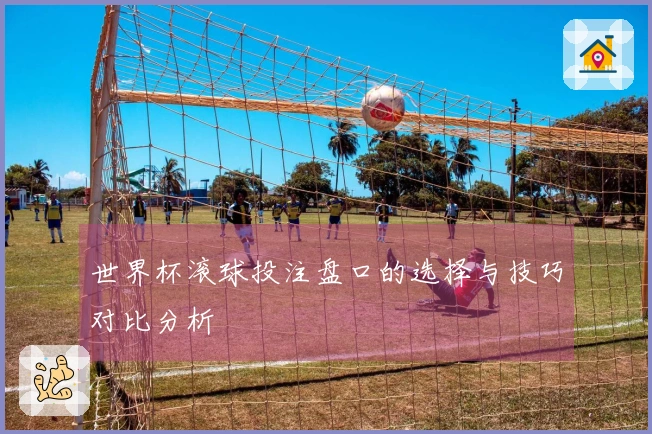 世界杯滚球投注盘口的选择与技巧对比分析