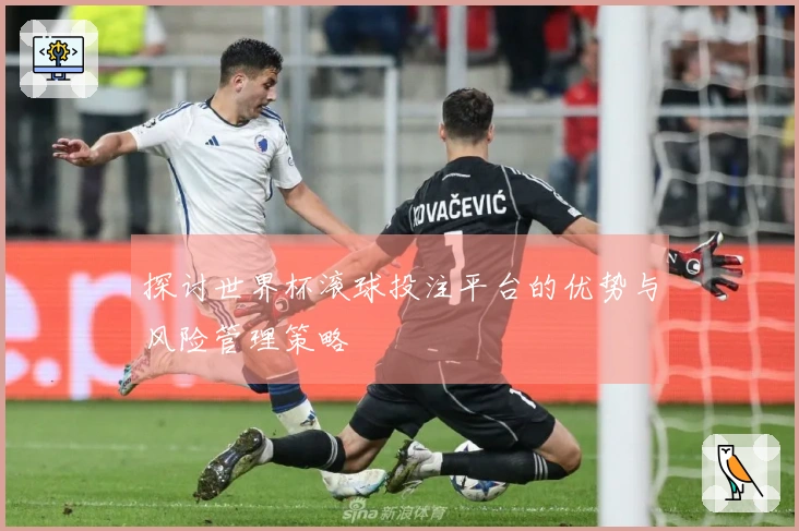 探讨世界杯滚球投注平台的优势与风险管理策略