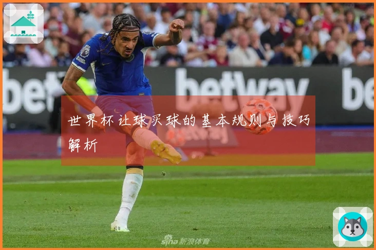 世界杯让球买球的基本规则与技巧解析