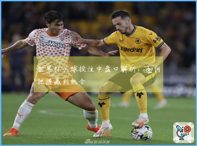 世界杯买球投注中盘口解析，如何把握赢利机会